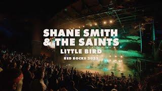 Shane Smith & the Saints - Little Bird - Live at Red Rocks