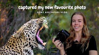 Testing the New Sony A1ii for Wildlife Photography - Safari Vlog