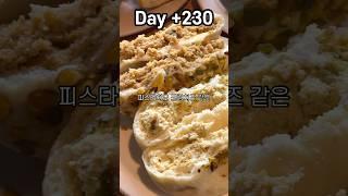 [Day +230] 서울 크림치즈빵 맛집은 어디?!