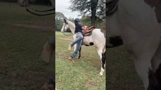 Fell off my horse #funnyshorts