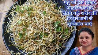 फ्रिज में कैसे अंकुरित करें गेहूं बिना महक बिना झंझट सेवन कैसे करें- How to Make Sprout Wheats gehu