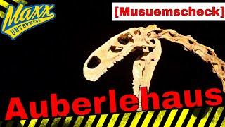 [Museums Check] Auberle Haus | Trossingen | Dinosaurier und Afrika unter einem Dach