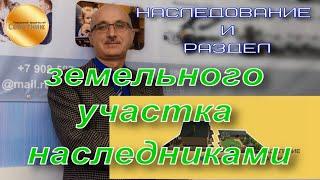 Наследование и раздел земельного участка наследниками. Документы для нотариуса. Госпошлина. Нюансы.