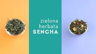 Herbata zielona Sencha: parzenie herbaty, właściwości, pochodzenie, produkcja. Czajnikowy.pl