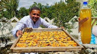 Harvesting a Lot of Apricots for Drying | Apricots Oil | Traditional Method of Preserving Apricots