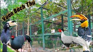 Tham Quan vườn thú HÀ NỘI - Sở hữu nhiều AVI & Loài chim trong SÁCH ĐỎ QUÝ HIẾM (VIETNAM ZOO)