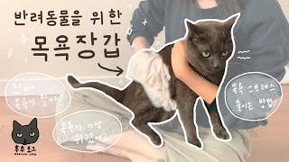 고양이 목욕 수월하게 할 수 없을까? | 코코쓰담쓰담목욕장갑 | 후추로그