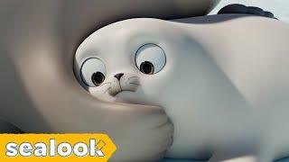 Pat Pat!ㅣSEALOOKㅣEP.40