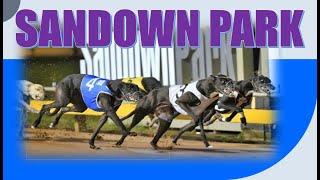 (MEMBERSHIP SAMPLING)  [ SANDOWN PARK ] Australian Greyhound Race Analysis