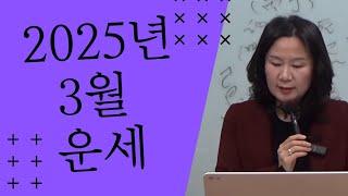 2025년 오행별 3월 운세 (자막을 켜고 보세요)