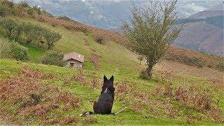 Arano y los Cromlech-Navarra 2017-Vídeo:Antton Longaron Galarza