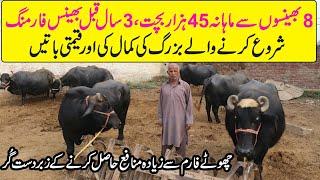 Small Buffalo Farm | Earn 45 Thousand From 8 Buffaloes | Buffaloes Farming | Dairy Farming in Urdu