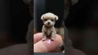 Adorable Mini Dogs and Puppies Compilation!  #TinyPaws #cutenessoverload #ai #midjourney #cat #dog