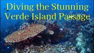 Scuba Diving the Verde Island Passage