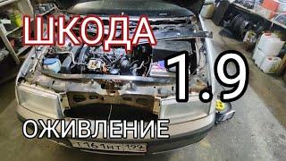 Оживление Шкоды 1.9TDI. Стояла почти 2 года.