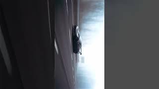THE CAR EDIT #subscribe #like #edit