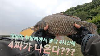 붕어낚시-김포 조강지 4짜 인생 고기 걸었어요 #bigfish #대물낚시