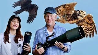 Bird & Wildlife Photography Tips