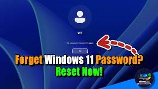 Reset Forgotten Windows 11 Password Without USB or Software | Full Guide