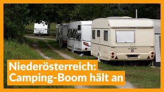 Niederösterreich: Camping-Boom hält an