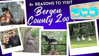  Explore Bergen County Zoo in with us Paramus New Jersey  cute animals #zoo