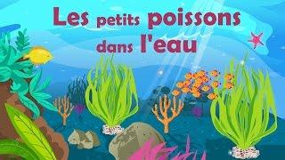 Les petits poissons dans l'eau - French Nursery Rhyme for kids and babies (with lyrics)