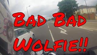 Bad Bad Wolfie!!!