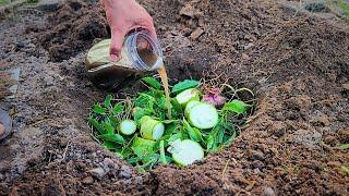 I do this every year, and my veggies grow out of control in the garden.