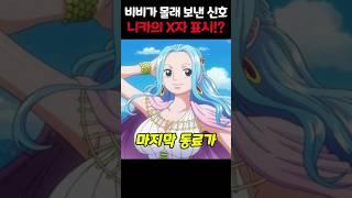 【원피스 1130화】루피의 마지막 동료가 되는 비비의 신호!? 10번째 동료는 비비? #원피스
