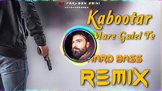 Kabootar Mare Gulel Te Full Bass Vibration Remix | Dj Parveen Saini Mahendergarh