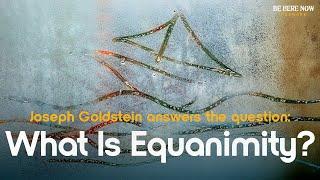 Buddhist Teacher Joseph Goldstein on The Meaning of Equanimity