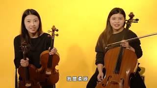 白鷺鷥音樂小學堂 樂器大觀園 提琴篇(一) 琴弓介紹