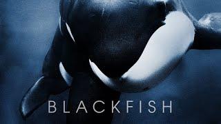 Blackfish - Official Trailer