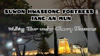 SUWON HWASEONG FORTRESS: JANG-AN MUN | Walking Tour Featuring Cherry Blossoms