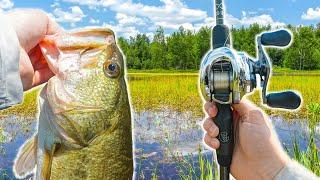 Hunting Trophy BASS At Fisherman’s HEAVEN -- Multiple Big Fish