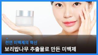 보리밥나무 추출물로 만든 천연 미백제의 혁신