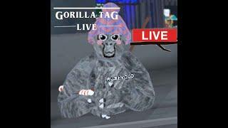 Gorilla Tag LIVE!