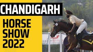 Horse Show In Chandigarh | New Chandigarh Horse show 2022 |