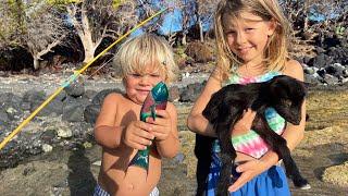 We Rescued Wild Orphan Baby Goats While on a Fishing Trip  in Hawaii