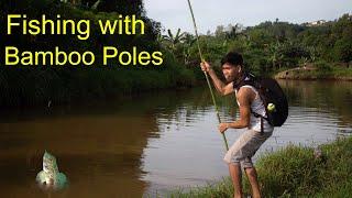 Traditional Fishing using bamboo poles