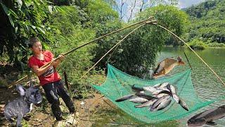 Orphan boy -Thanh harvests fish after Typhoon Yagi to sell, picks up stray puppy and brings it home