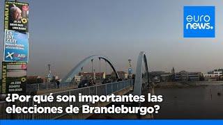 ¿Por qué son importantes las elecciones de Brandeburgo? Se espera que ganen los partidos p…