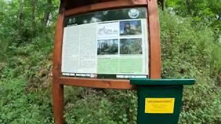 Stempelstelle Heinrichsburg - Burgen und Schlösser - Harzer Wandernadel