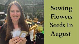 Cool Flowers | Hardy Annual Seed Sowing In August and September