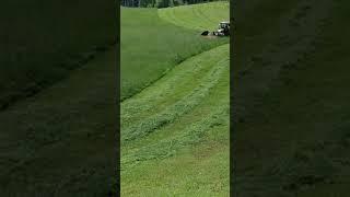 Mähen im Gelende mit Schmeterling