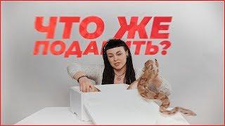 Что же подарить настоящему мужику?