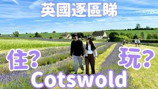 【英國琛導遊】Cotswold科茲窩有咩玩？呢個區適唔適合居住？英國傳統古建築，房屋供應極少伯明翰附近薰衣草田Lavender field