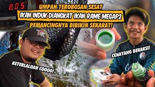 MANCING BANYAK COBAAN UMPANNYA DILUAR NALAR, DAIDO VENDETTA DIPAKSA UNTUK MELAWAN! 