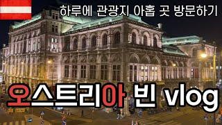 밥도 안먹고 돌아다니는 미술사 박물관, 모차르트 하우스, 다뉴브 타워_빈 비행 vlog #2