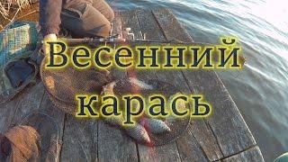 Ловля карася весной